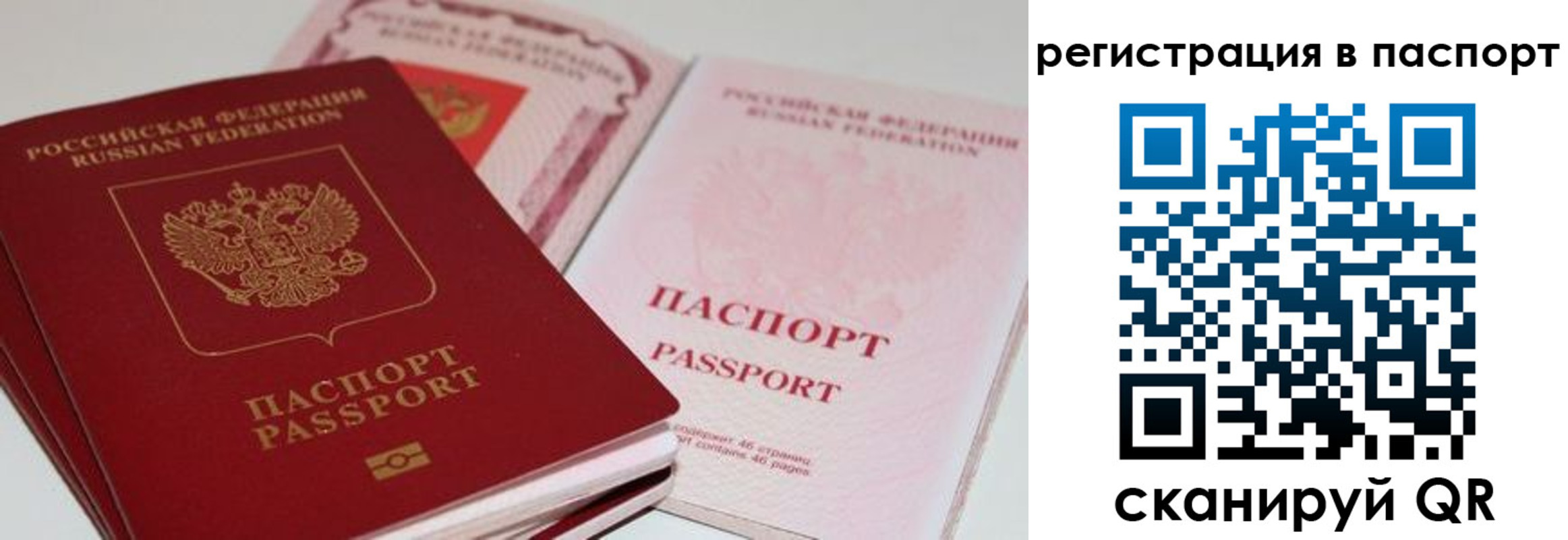 найти адрес прописки в Бикине